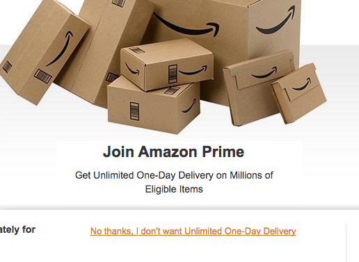 The opt-out choice Amazon provides users with when choosing to upgrade to Prime. The link says No thanks, I don't want unlimited one-day delivery