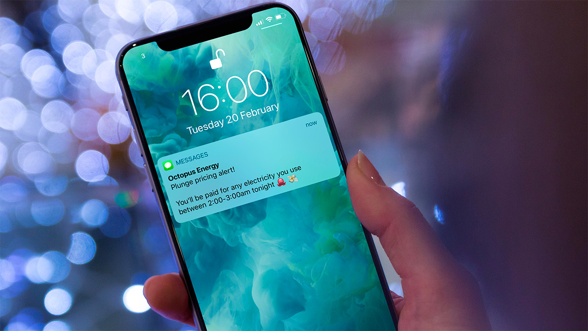 An iPhone displaying a message about a 'plunge pricing' event on Agile Octopus - where demand is so low, and supply is so high, that users are paid to use electricity