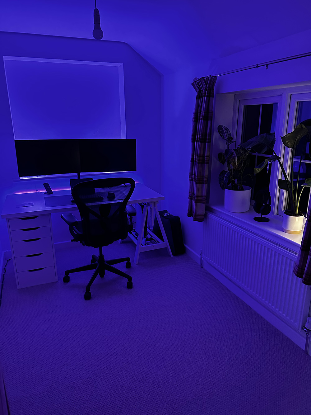 My setup at night, bathed in purple light, with a small white light coming from a diffuser on the windowsill